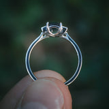 Dàna Ring
