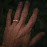 Silver Birch Wedding Band