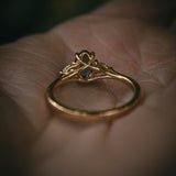 Bute Ring