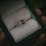 Bute Ring