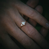 Fidra Ring