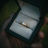 Fidra Ring