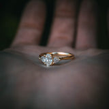 Fidra Ring