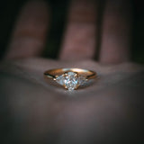 Fidra Ring