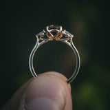 Aodha Ring