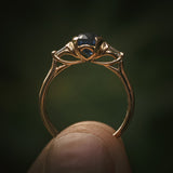 Noth Ring