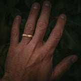 Silver Birch Wedding Band
