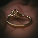 Fidra oval bi-colour sapphire ring; back view showing Arc setting