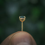 Arc Studs