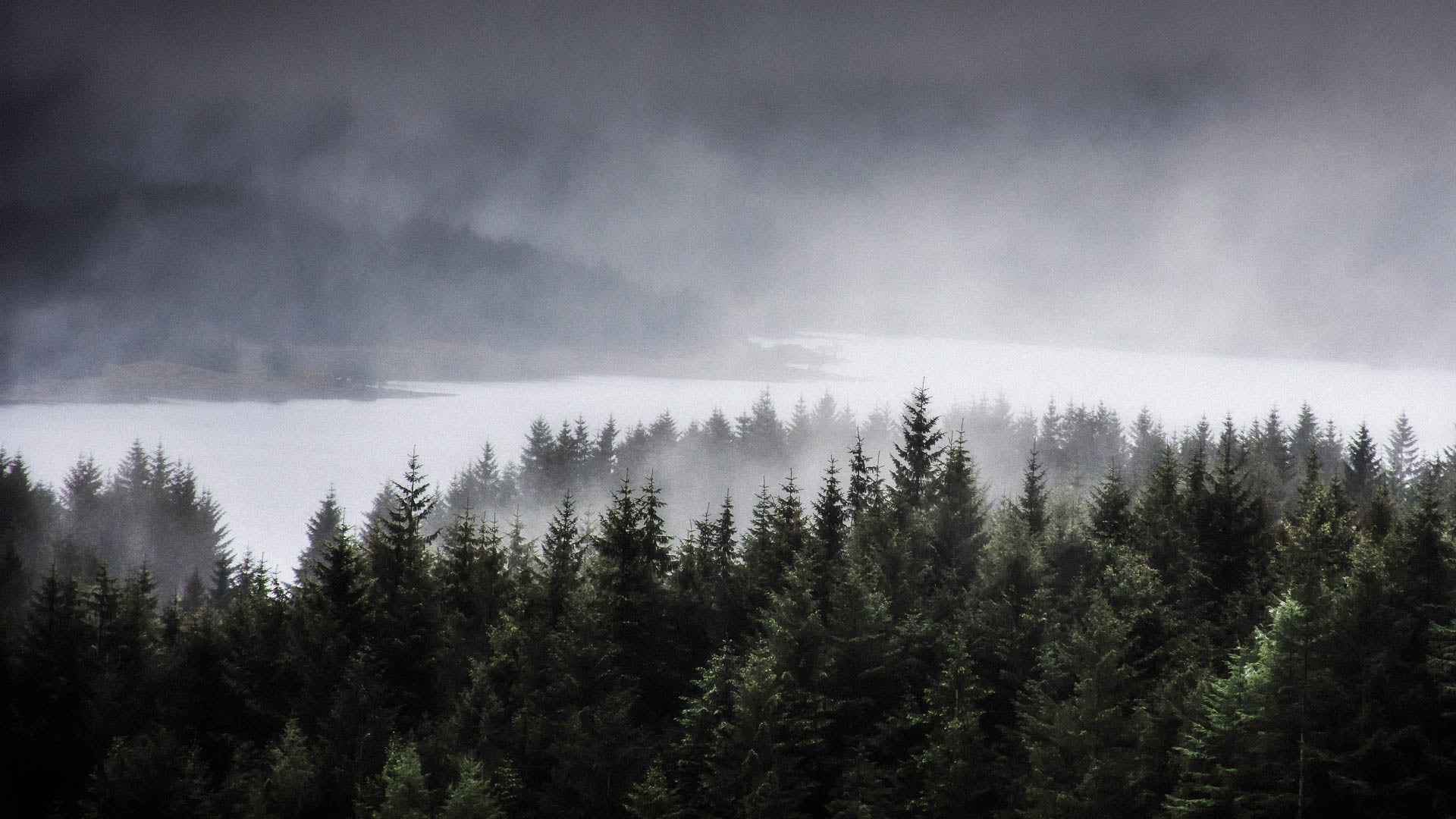 Misty forest landscape with a lake in the background